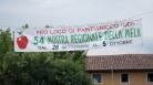 Agroalimentare: Zannier, frutticolo Fvg ha presupposti per ...